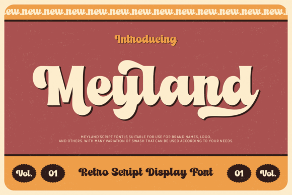 Meyland Font Review for Bold Brand Identity